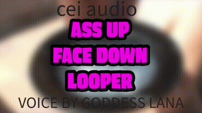 Ass Up Face Down Looper Female And Shemale Voices