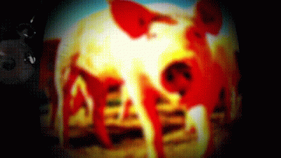 Turning The Pig Into A Self Sucking Milking Machine JOI CEI Humiliation
