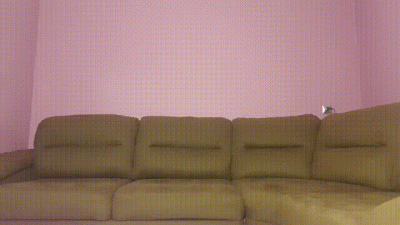 Bdsm With Beginner Slave