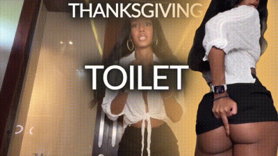 Thanksgiving Toilet