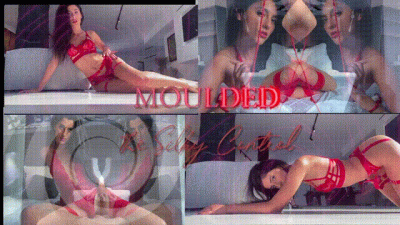 Moulded- The Silky Control (Highly Erotic Reprogramming File)