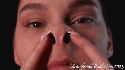 Big Flaring Nostrils Custom Order