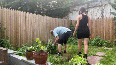 Turning The Gardner Into My Bitch