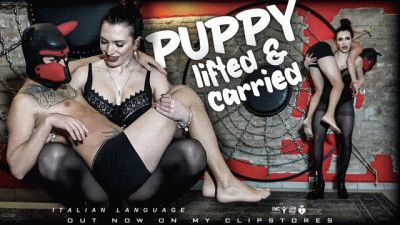 Lady Scarlet Lifted And Carried Puppy Cucciolo Sollevato E Trasportato