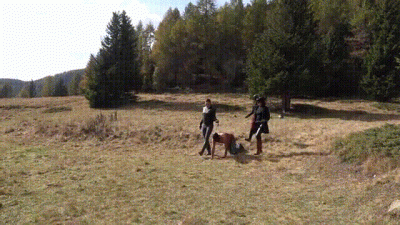 Lady Scarlet Ponyplay In The Mountains