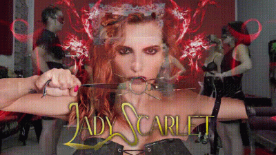 Lady Scarlet Blind Man's Buff