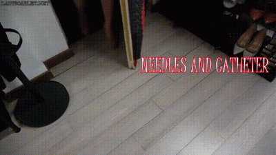 Lady Scarlet Needles And Catheter