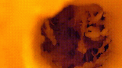 Pumpkin Fuckin With Jasper Spice