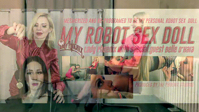 MY ROBOT SEX DOLL