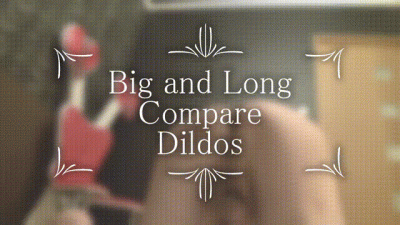 Big And Long Compare Dildos