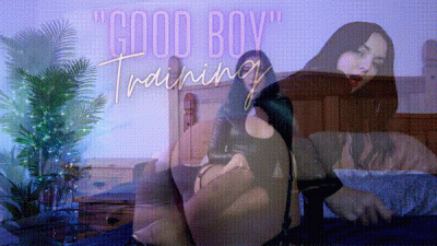 "Good Boy" Training