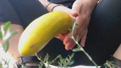 Suck Quickie Cucumber Cock In The Contryside