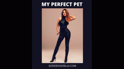 My Perfect Pet