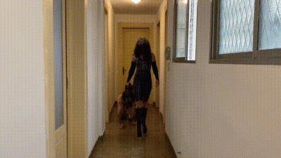 Pet Play Doggy Training