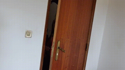 Harley Quinn Sitting On Your Face