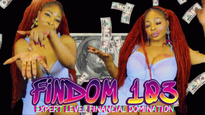 Findom 103 (Expert Level Financial Domination)
