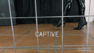 Captive