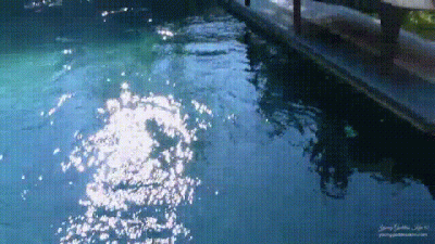 Poolboy
