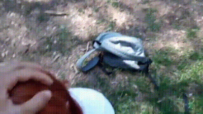 Sucking Him Off In Nature + Cum Swallowing