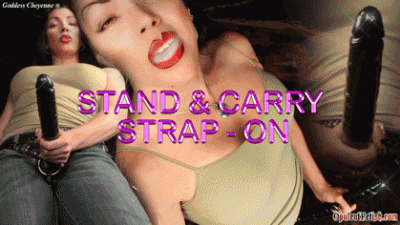 Stand And Carry Strap-On
