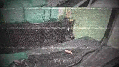 Mummified, Ruined And Locked