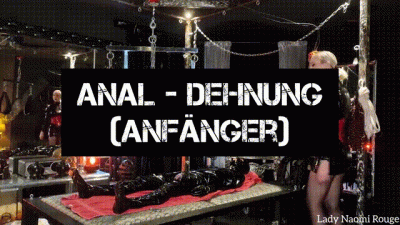 Anal Training For Beginners