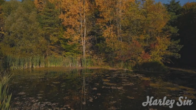 The Frog Song By Harley Sinn