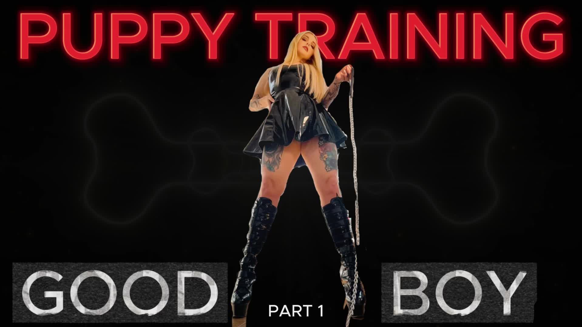 Puppy Training- Good Boy Mindfuck