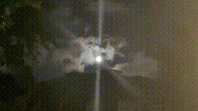 Degenerates Come Out At Night