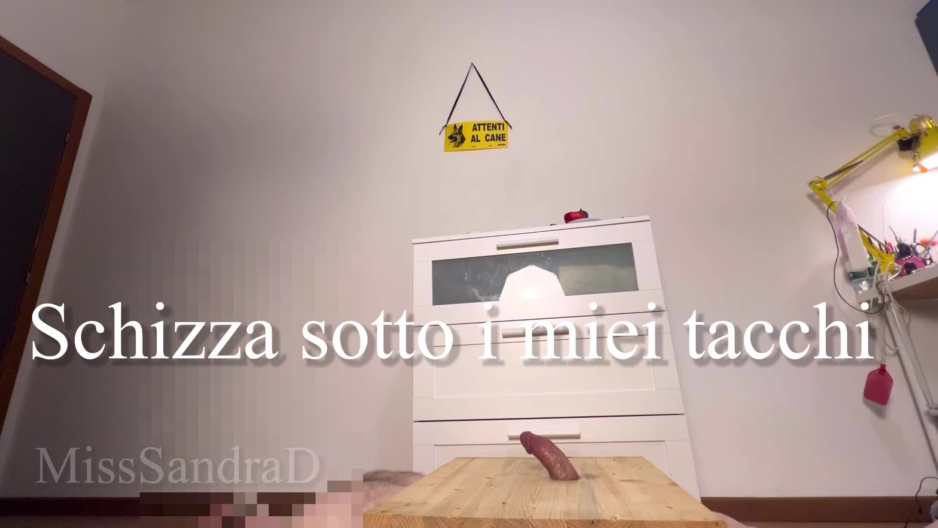 Schizza Sotto I Miei Tacchi- Cockbox
