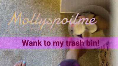 Wank To My Trash Bin, Loser!