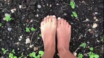 My Muddy Feet In The Veggie Patch