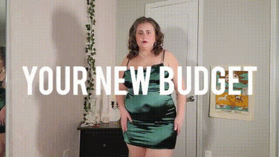Cruel Findom: Your New Budget