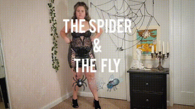 The Spider And The Fly