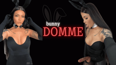 Bunny Domme