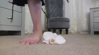 Stomp On You