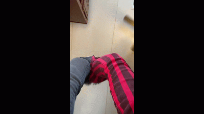 Angry Giantess Stomp Out