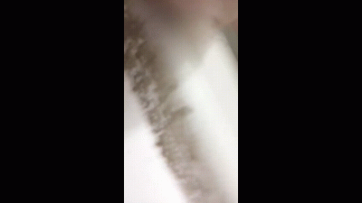 Playful Shower Time