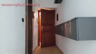2739 The New Tenant