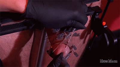 Mistress Iside- Cruel Cbt HD