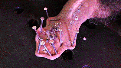 Mistress Iside Fucking Cock HD