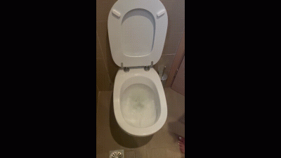 Do You Want To Be Our Toilet Bitch?