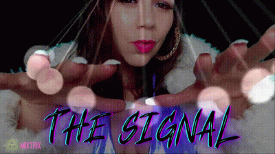 The Signal HD