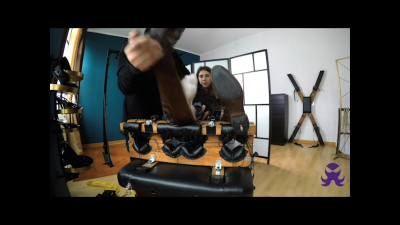 Vero In The Stocks