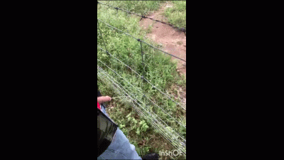 Marking Some Territory