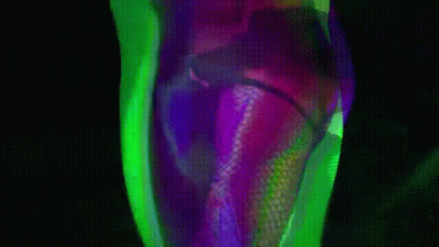 Solo Male Cd Mindfuck