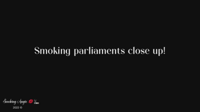 Smoking Parliaments Close Up!
