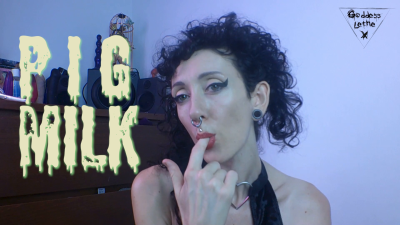Pig Milk