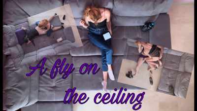 A Fly On The Ceiling