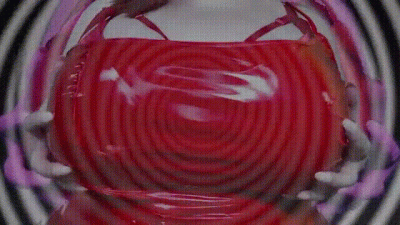Beta Love Spell